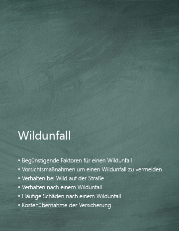 Ratgeber Wildunfall